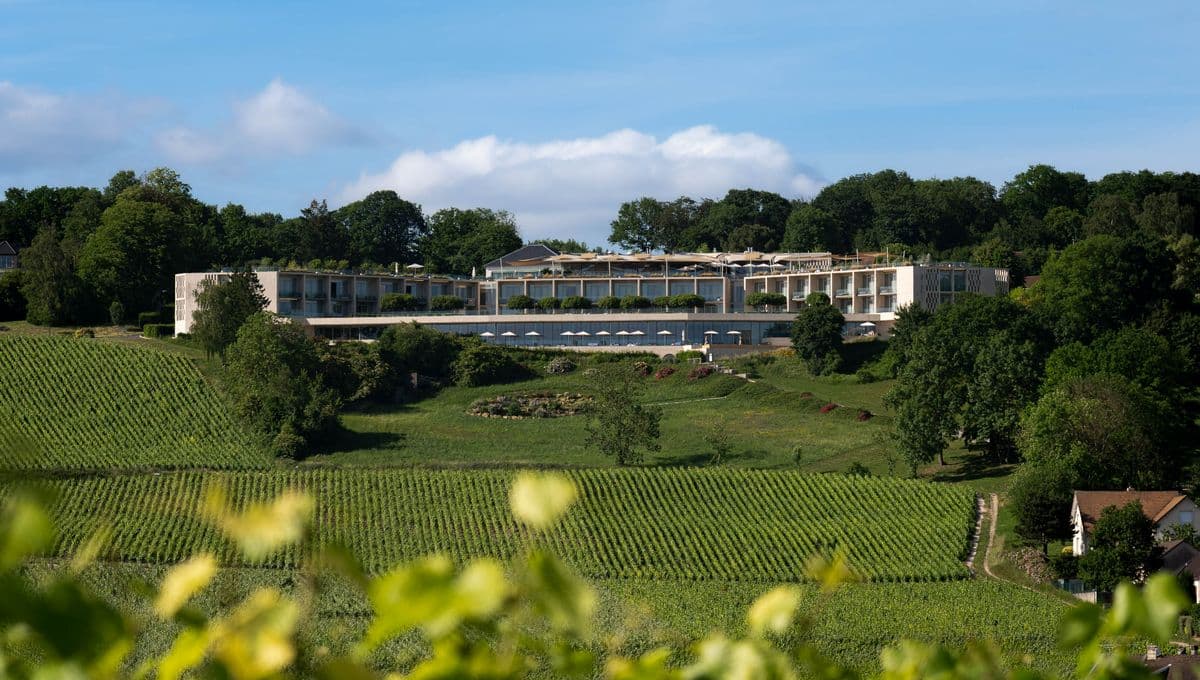 Mourmelon-le-Grand dans la Marne — paysage champenois (51)